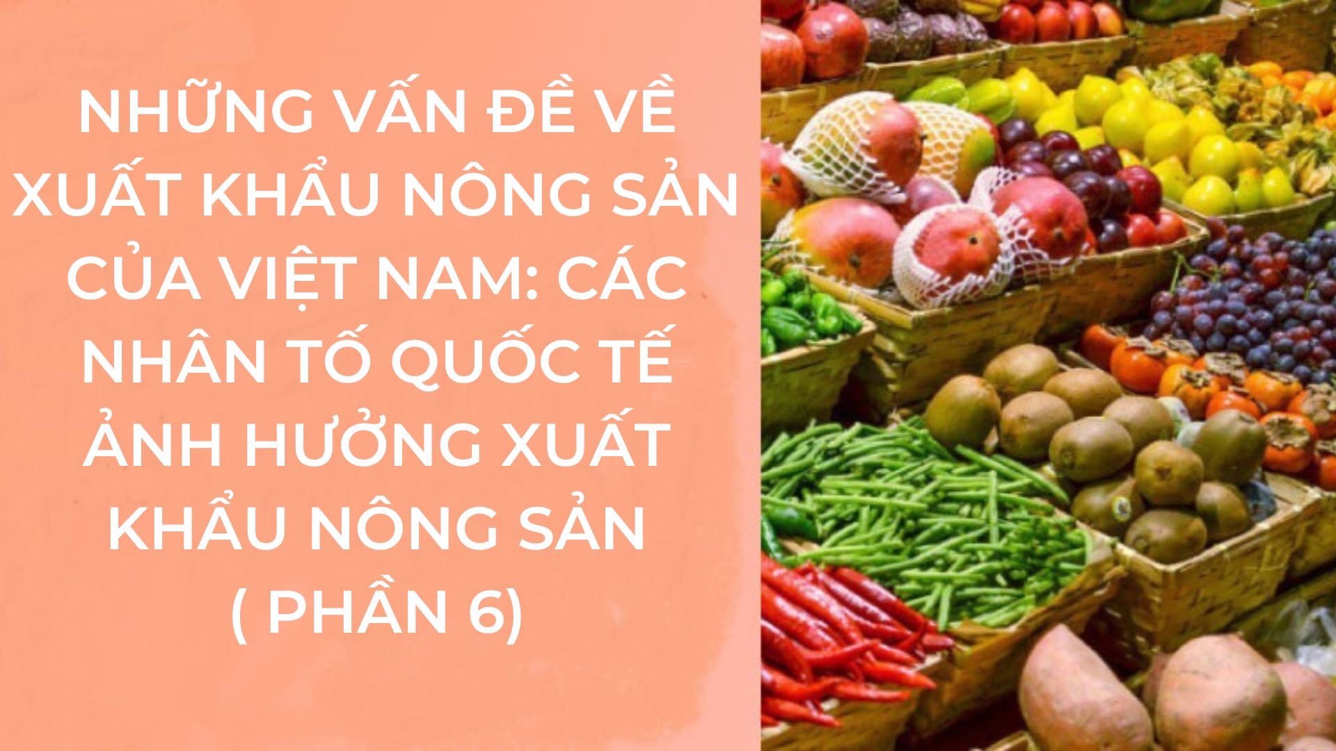 Những vấn đề về xuất khẩu nông sản của Việt Nam: Các nhân tố quốc tế ảnh hưởng xuất khẩu nông sản (phần 6)