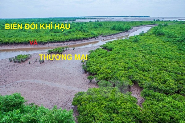 Biến đổi khí hậu và Thương mại