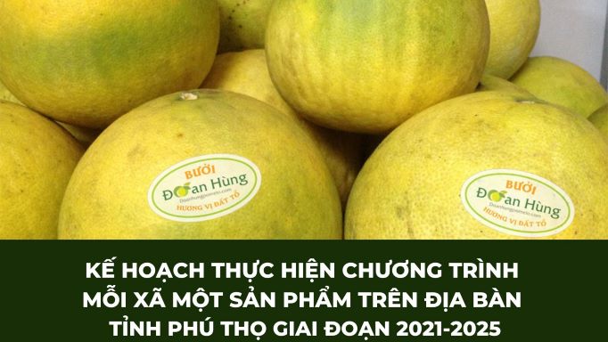 Kế hoạch thực hiện Chương trình mỗi xã một sản phẩm trên địa bàn tỉnh Phú Thọ giai đoạn 2021-2025