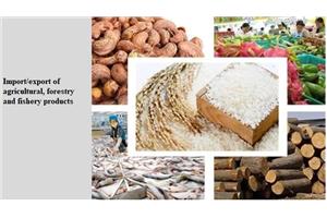 Situation of Export and Import of Agricultural, Forestry, and Fishery Products in the First 5 Months of 2024
